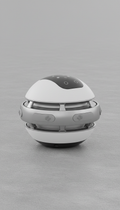 Interactive Pet Toy