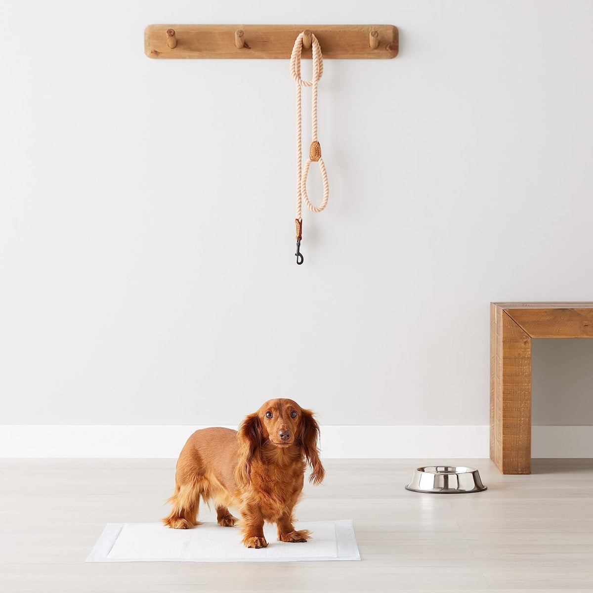 Amazon Basics Leak-Proof Dog Potty Training Pee Pads