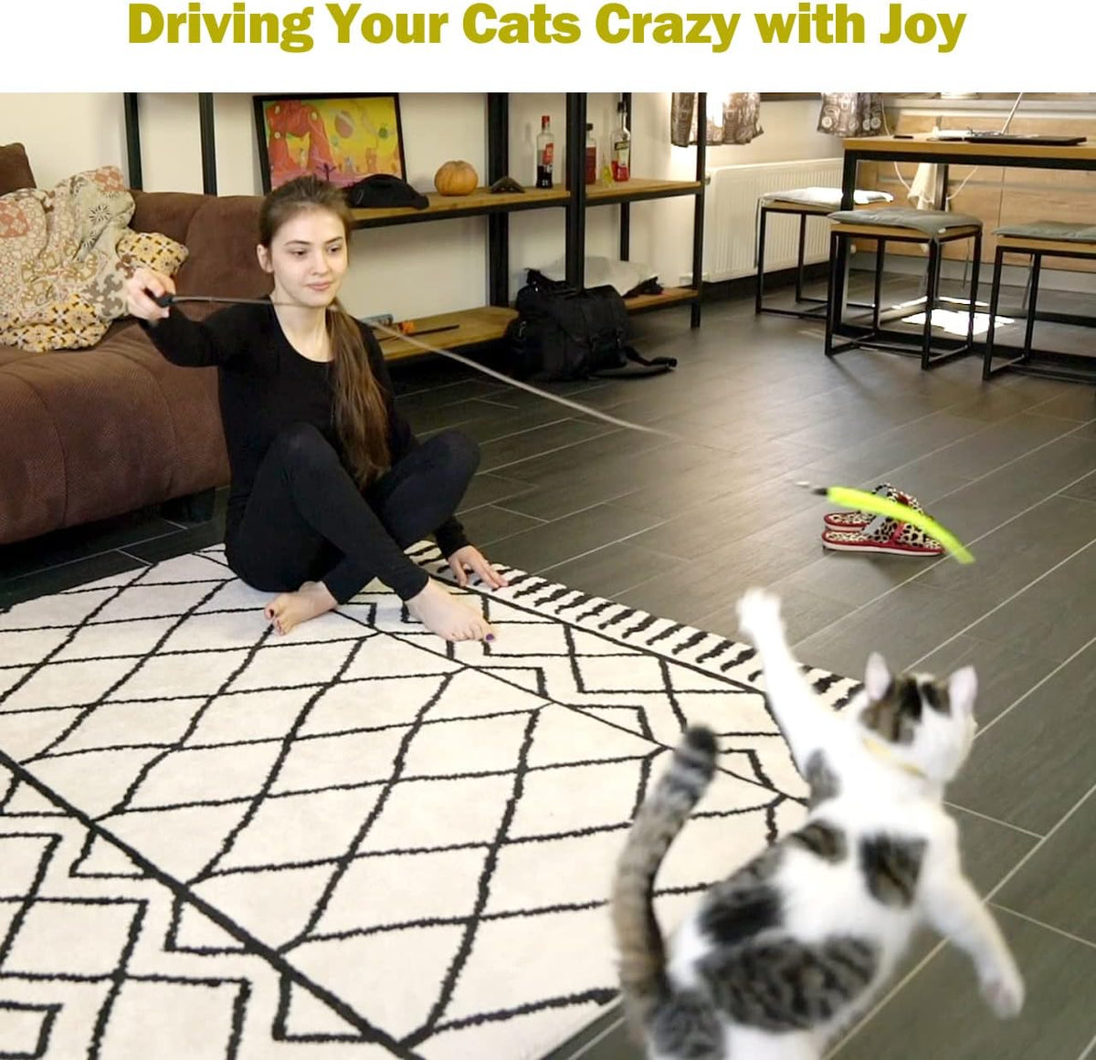 Retractable Wand Cat Toy with Feather Refills (11-Piece Set)