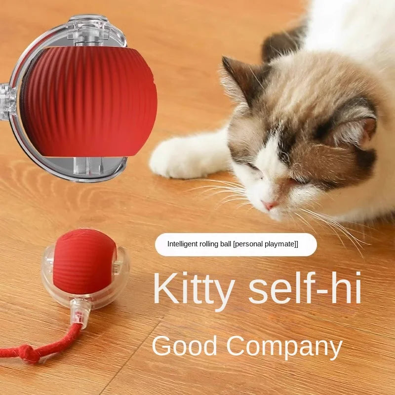 Automatic Cat Teaser Wand Toy