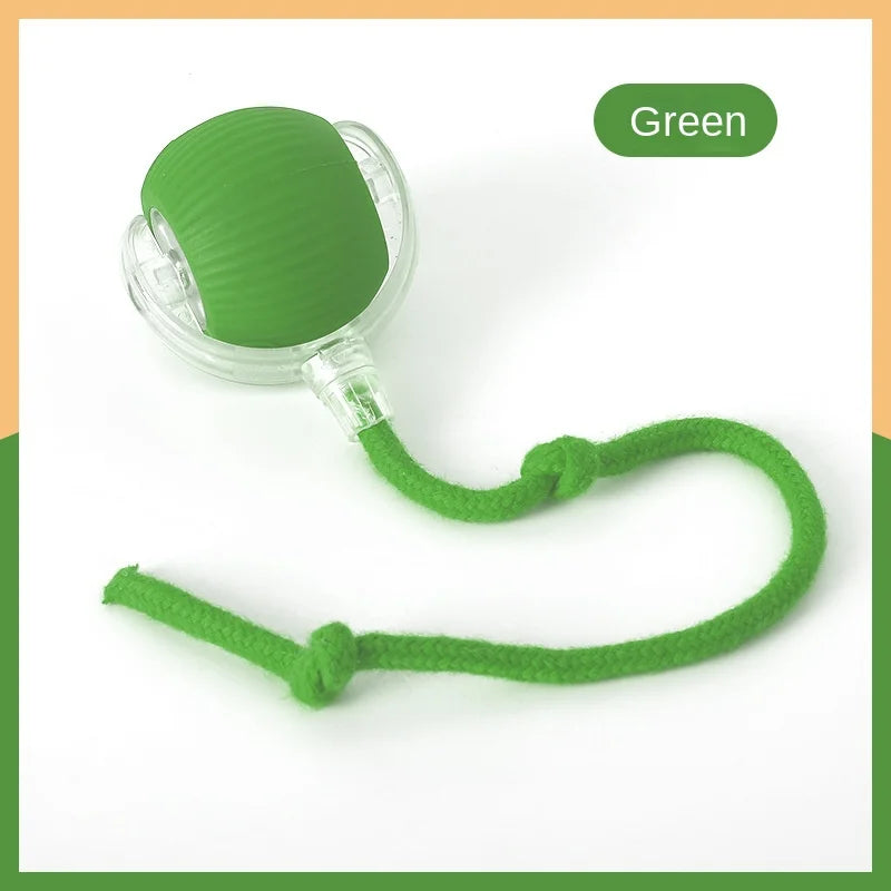 Automatic Cat Teaser Wand Toy
