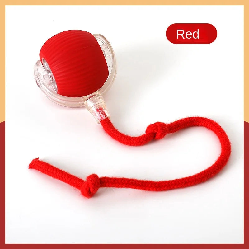 Automatic Cat Teaser Wand Toy