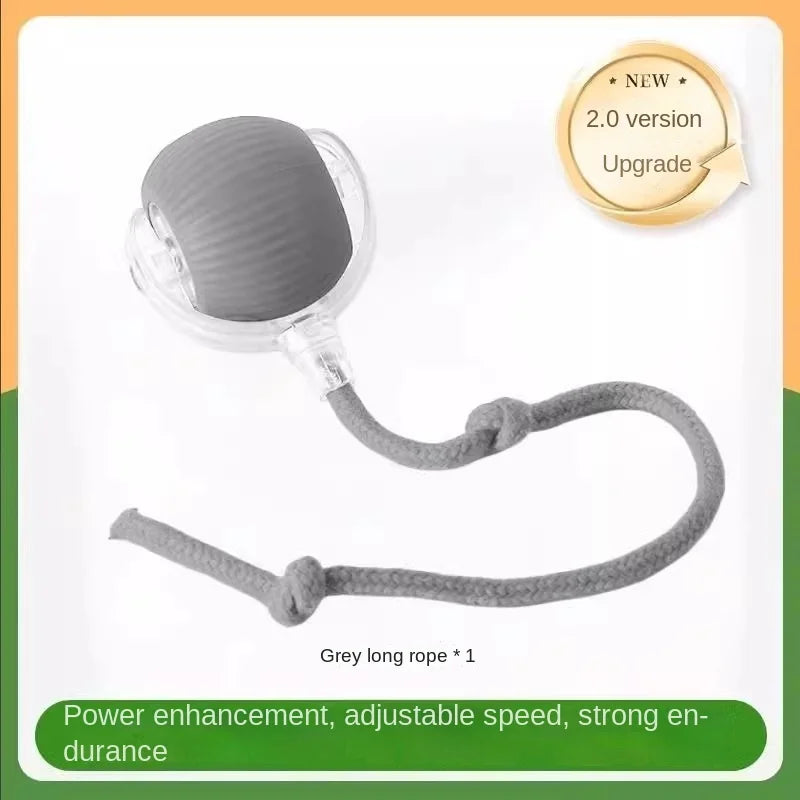 Automatic Cat Teaser Wand Toy