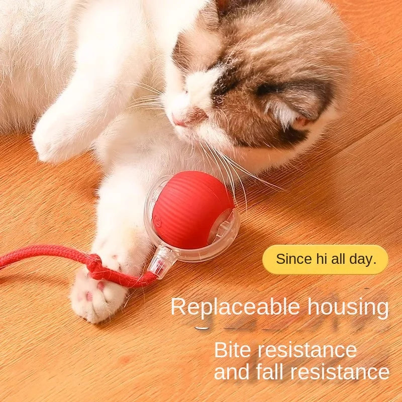 Automatic Cat Teaser Wand Toy