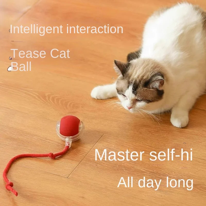 Automatic Cat Teaser Wand Toy