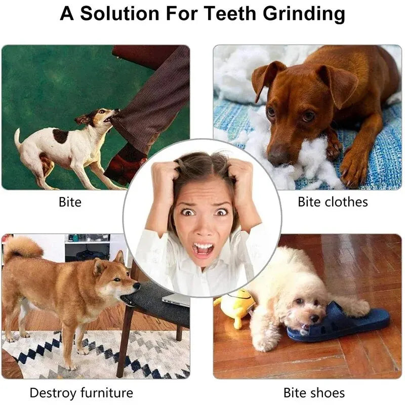 Bite-Resistant Treat-Dispensing Dog Ball