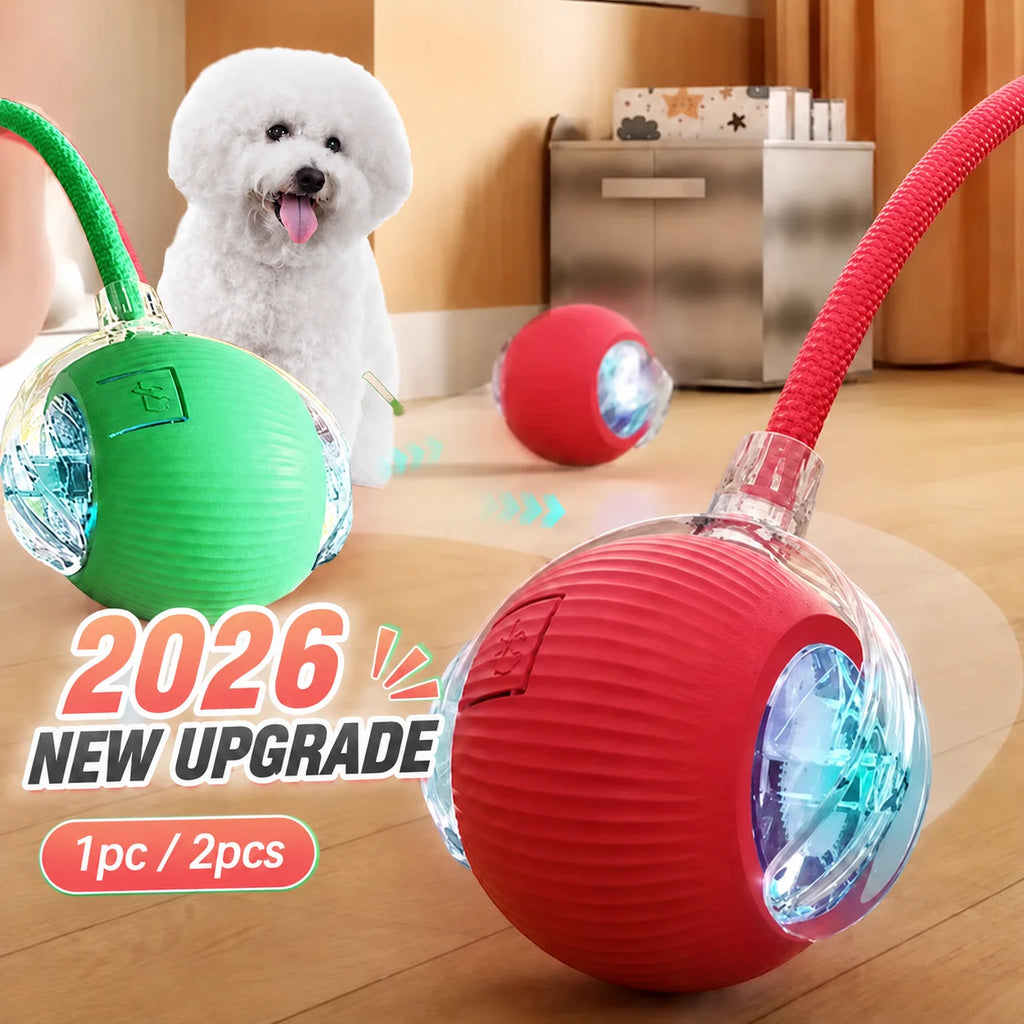 Rechargeable Automatic Rolling Dog Ball