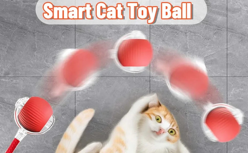 Auto-Rolling Cat Ball Toy — Rechargeable Smart Pet Toy