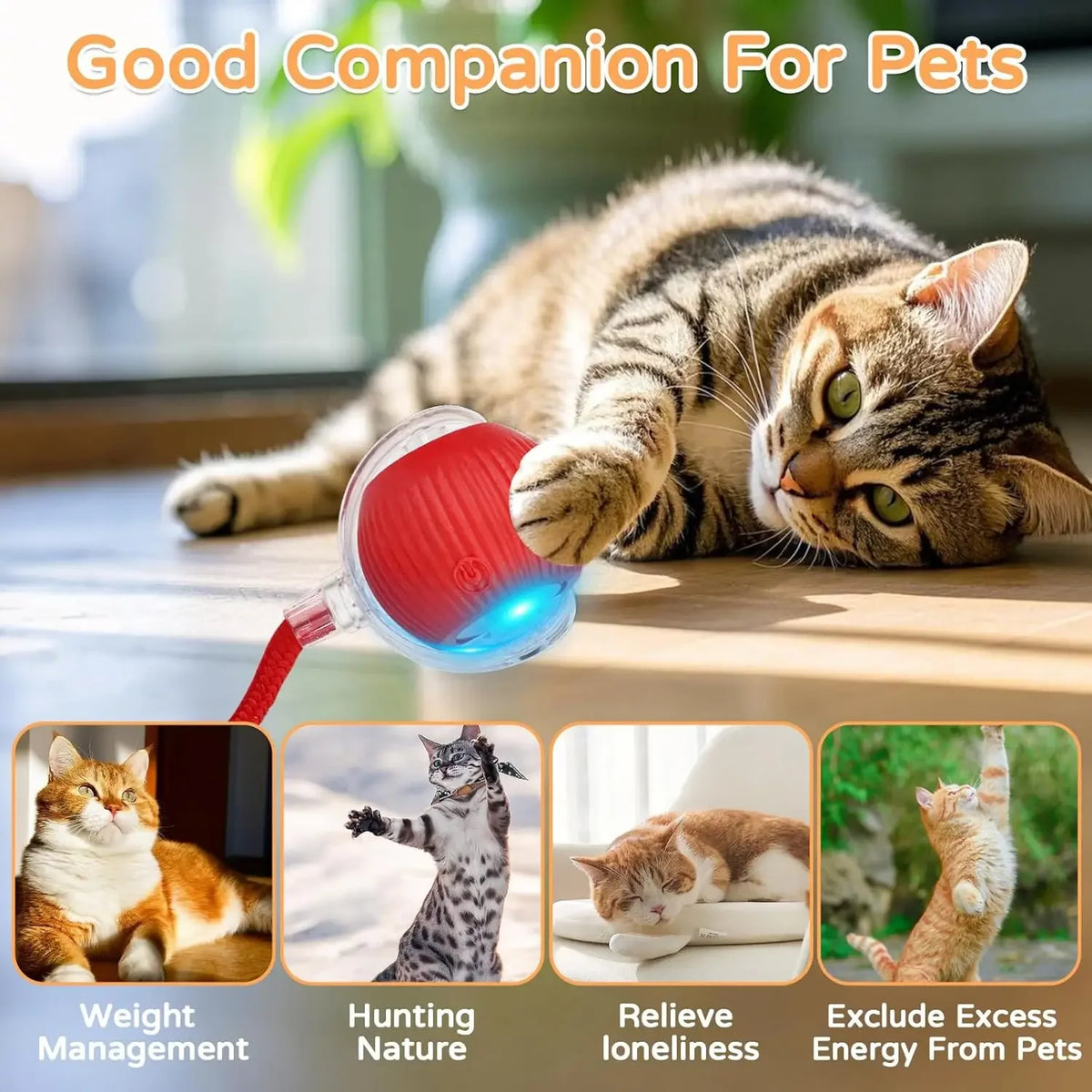 Auto-Rolling Cat Ball Toy — Rechargeable Smart Pet Toy