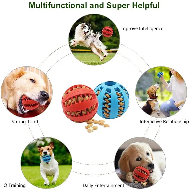 Bite-Resistant Treat-Dispensing Dog Ball