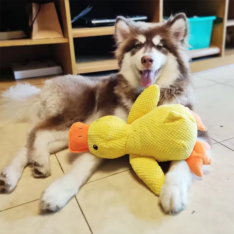 Plush Duck Toy for Dogs