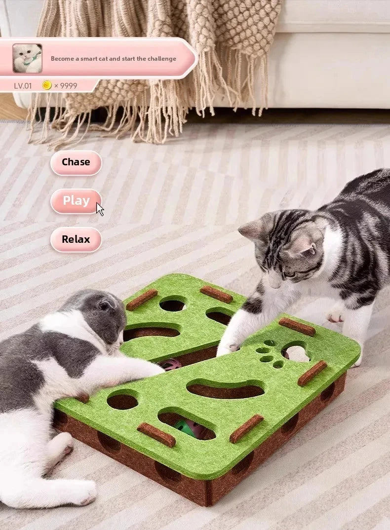 Felt Puzzle Box Cat Toy with Ball