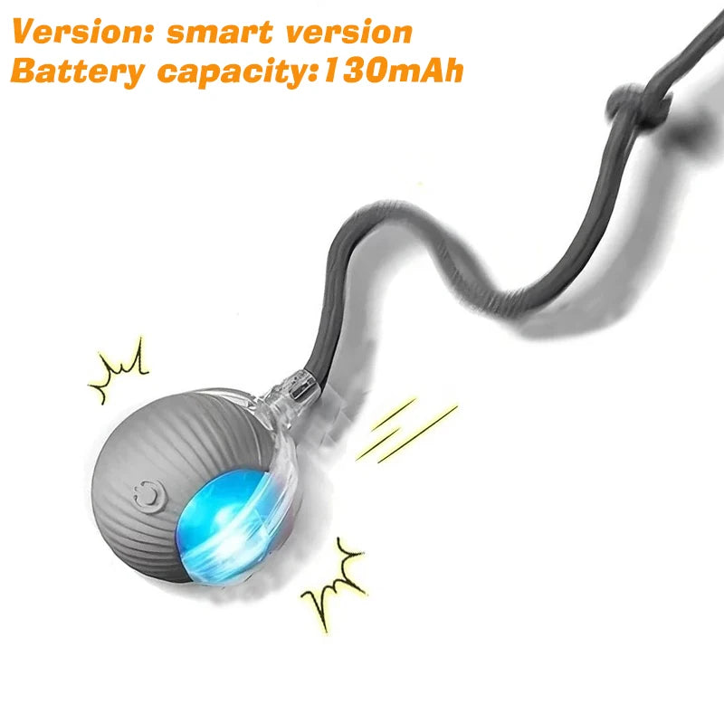 Rechargeable Automatic Rolling Dog Ball