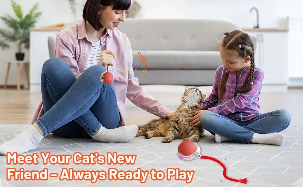 Auto-Rolling Cat Ball Toy — Rechargeable Smart Pet Toy