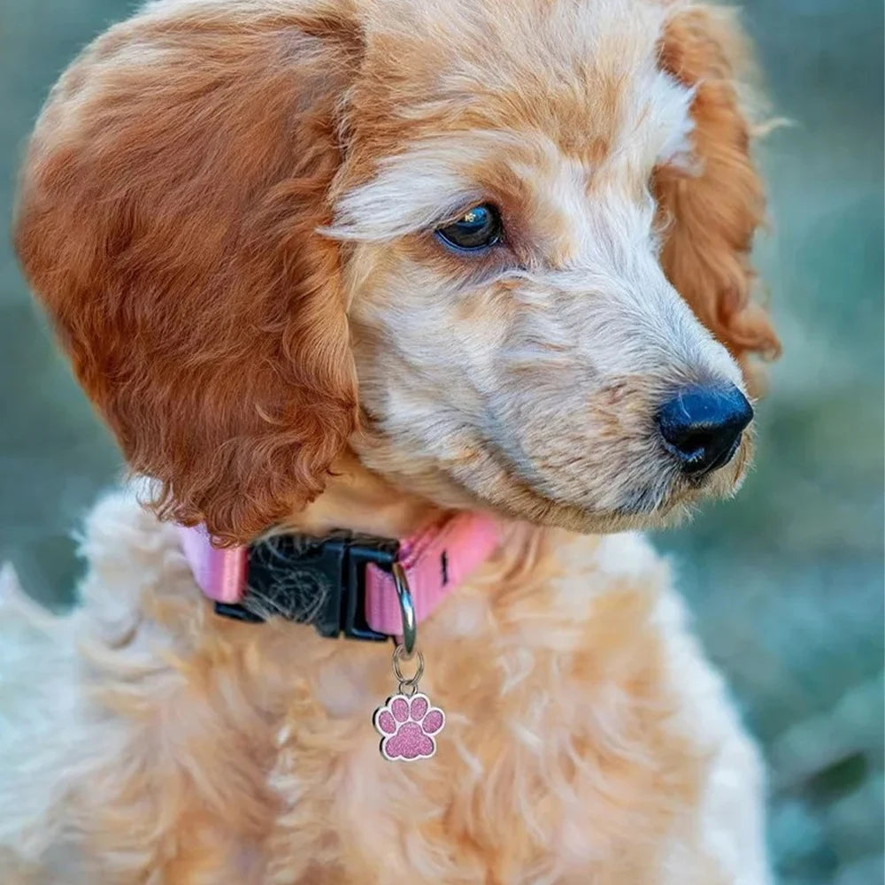 Free Personalized Dog Cat Plate Tags Engraved Puppy Pet ID Name Collar Tag Alloy Paw Glitter Pendant Pets Dogs Accessories
