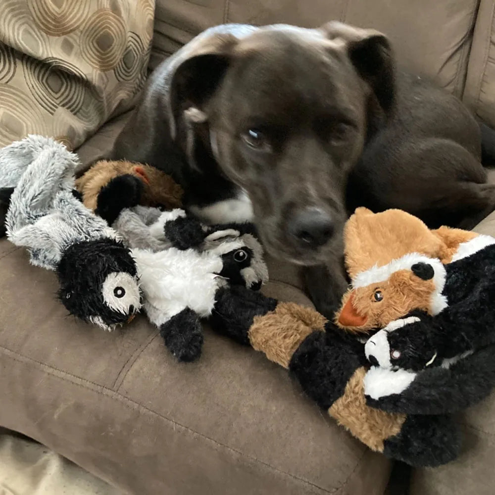 Stuffing-Free Squeaky Plush Dog Toy