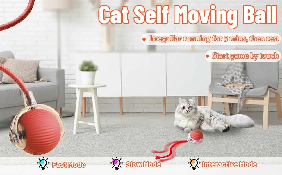 Auto-Rolling Cat Ball Toy — Rechargeable Smart Pet Toy