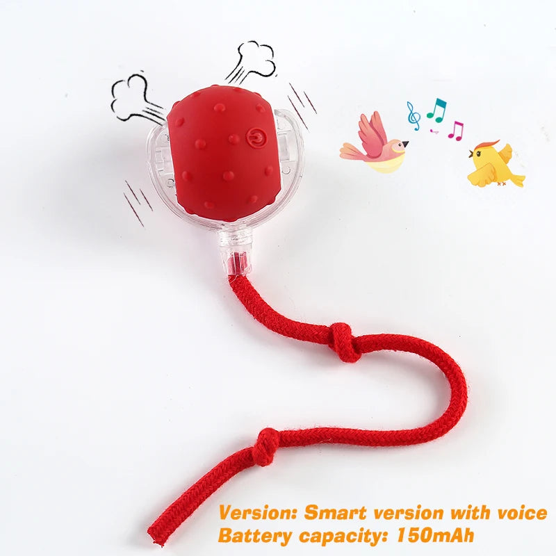 Rechargeable Automatic Rolling Dog Ball
