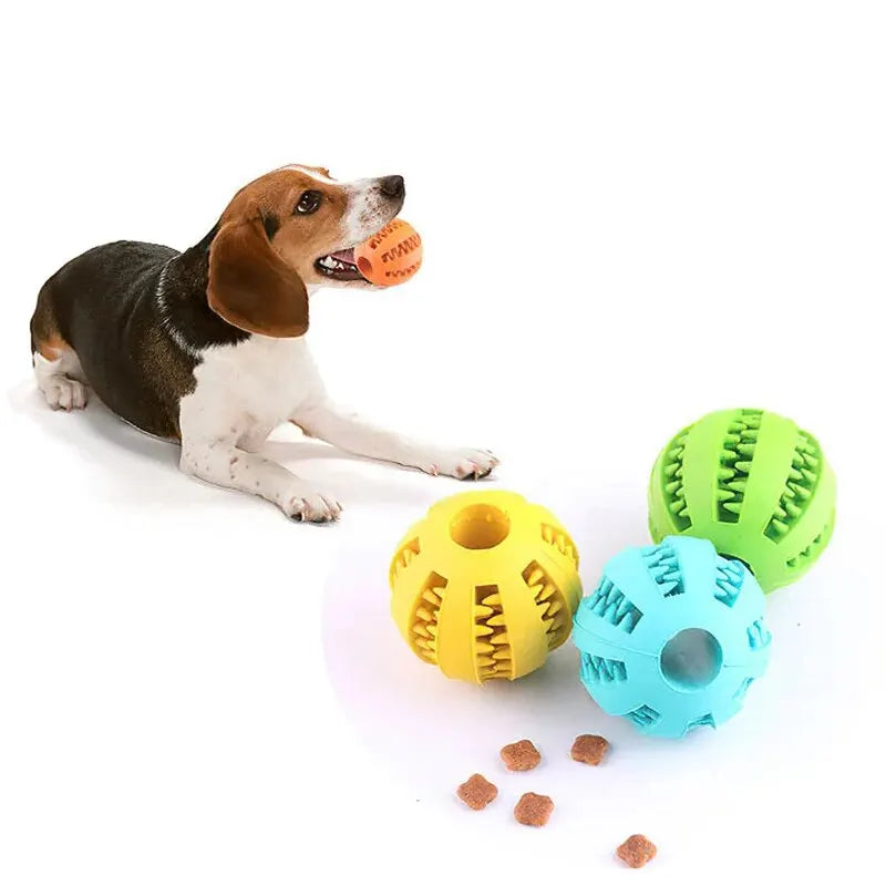 Bite-Resistant Treat-Dispensing Dog Ball