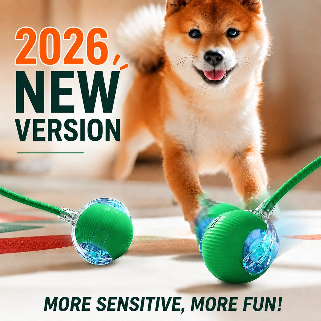 Rechargeable Automatic Rolling Dog Ball