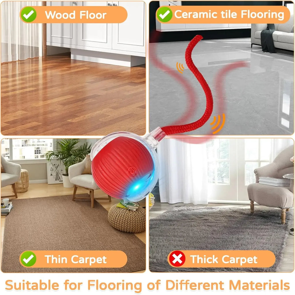 Auto-Rolling Cat Ball Toy — Rechargeable Smart Pet Toy