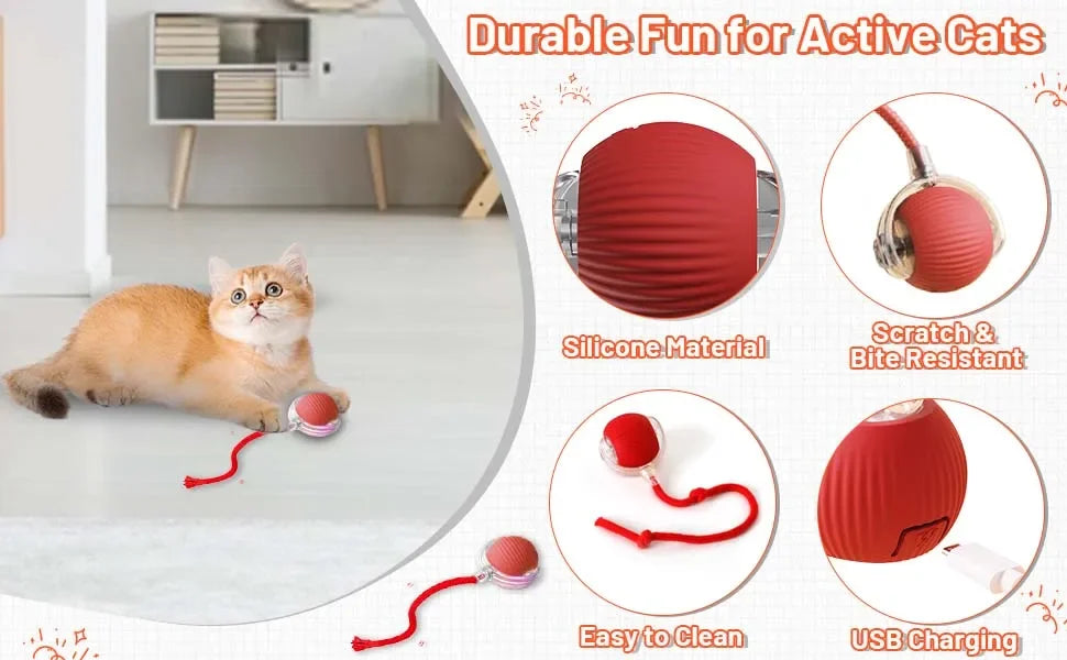 Auto-Rolling Cat Ball Toy — Rechargeable Smart Pet Toy