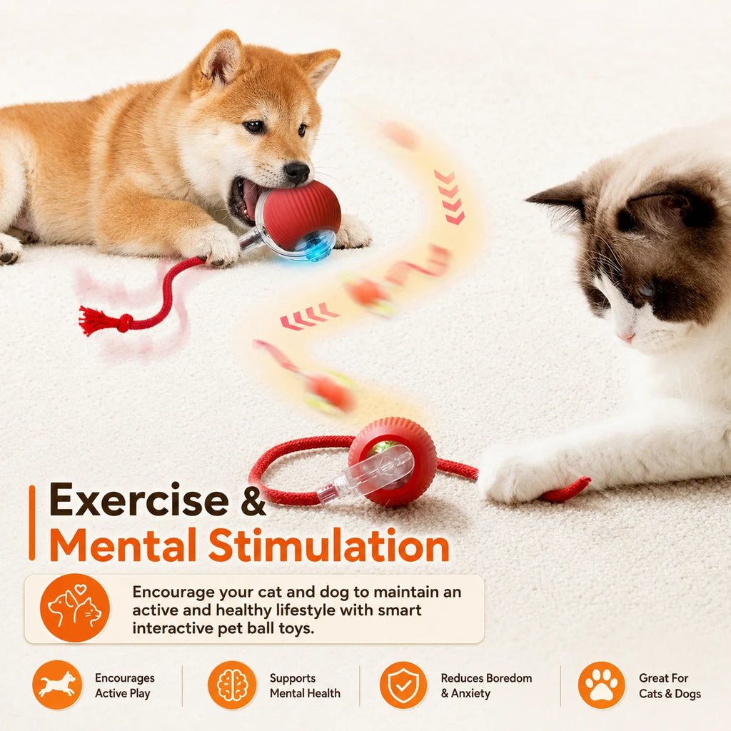 Rechargeable Automatic Rolling Dog Ball
