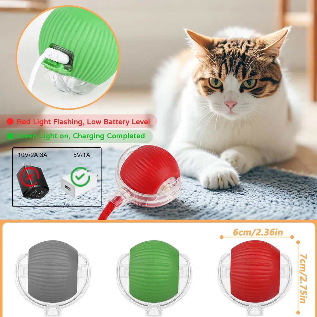 Auto-Rolling Cat Ball Toy — Rechargeable Smart Pet Toy