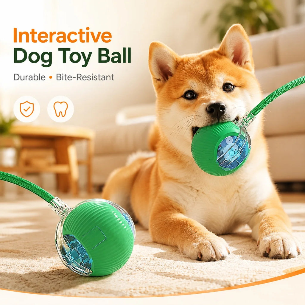 Rechargeable Automatic Rolling Dog Ball
