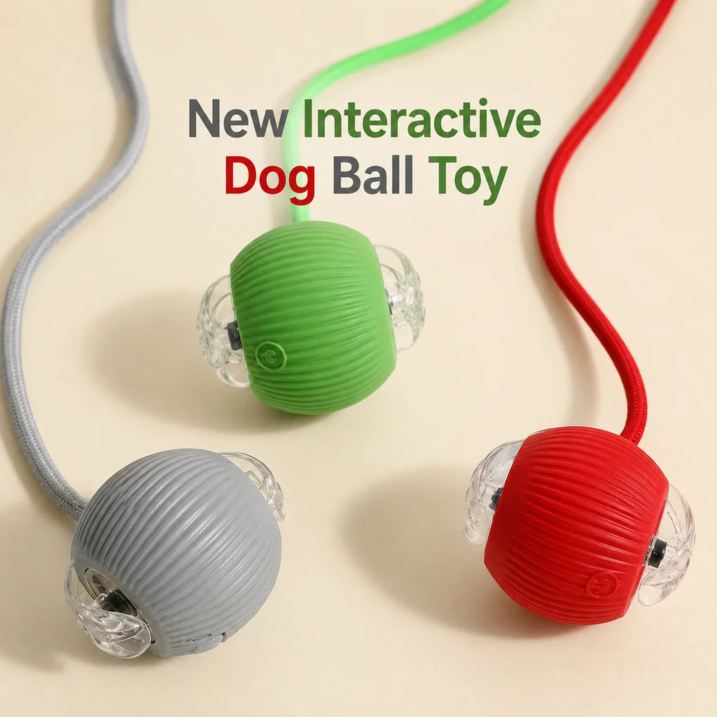 Rechargeable Automatic Rolling Dog Ball