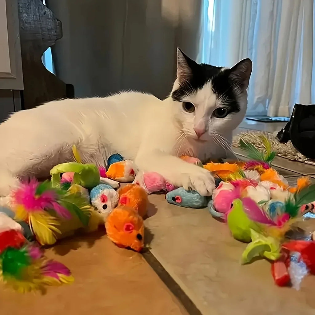 Cat Toy Variety Pack (14/28/56 pcs)