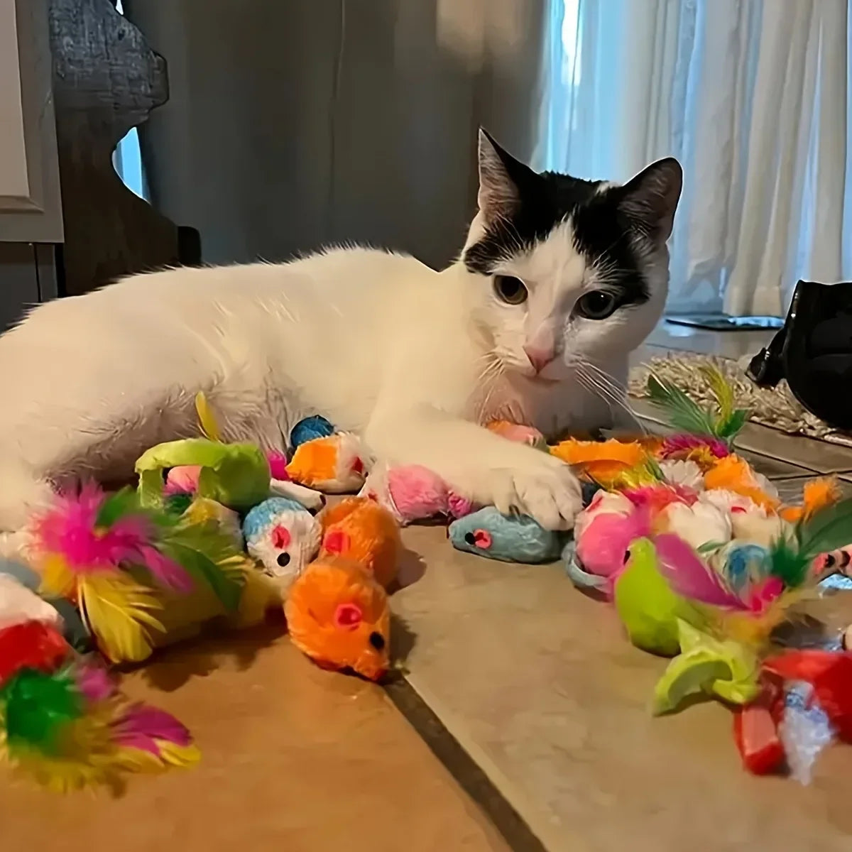 Cat Toy Variety Pack (14/28/56 pcs)