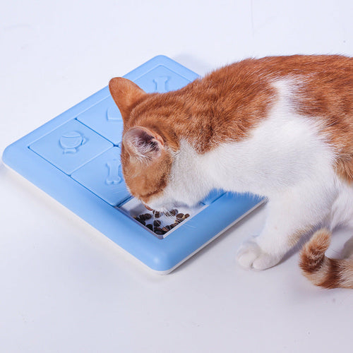 Slow Feeding Food Bowl