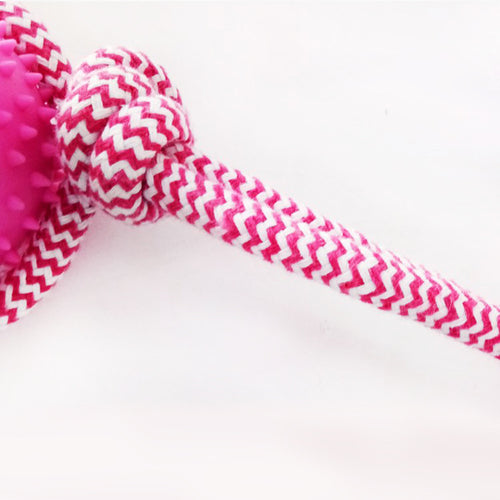 Rubber Chew  Dog Toy