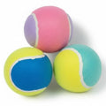 Safe Chewing Toy for Pets